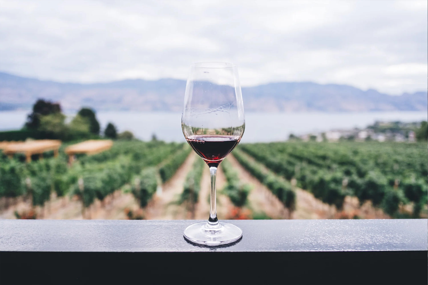 Ein elegantes Weinglas mit Rotwein steht auf einer Balustrade, mit einem weitläufigen Weingut und einem See im Hintergrund. Der Himmel ist bewölkt, und die Weinreben erstrecken sich bis zu den entfernten Hügeln.