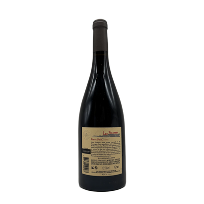 Errazuriz | Las Pizarras Pinot Noir | 2019