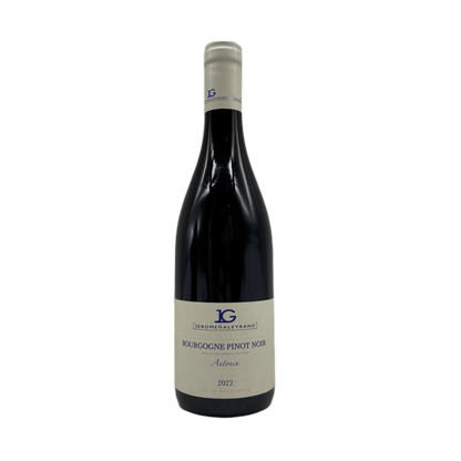 Jerome Galeyrand | Bourgogne Pinot Noir Cuvee Antonin | 2022