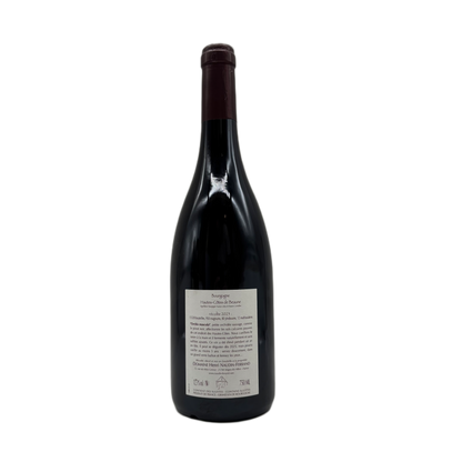 Domaine Henri Naudin-Ferrand | Bourgogne Hautes Cotes de Beaune Orchis Mascula | 2023